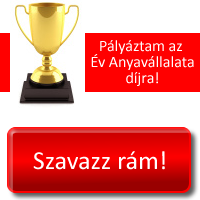 Rongylady Az év anyavállalata 2016 versenyen